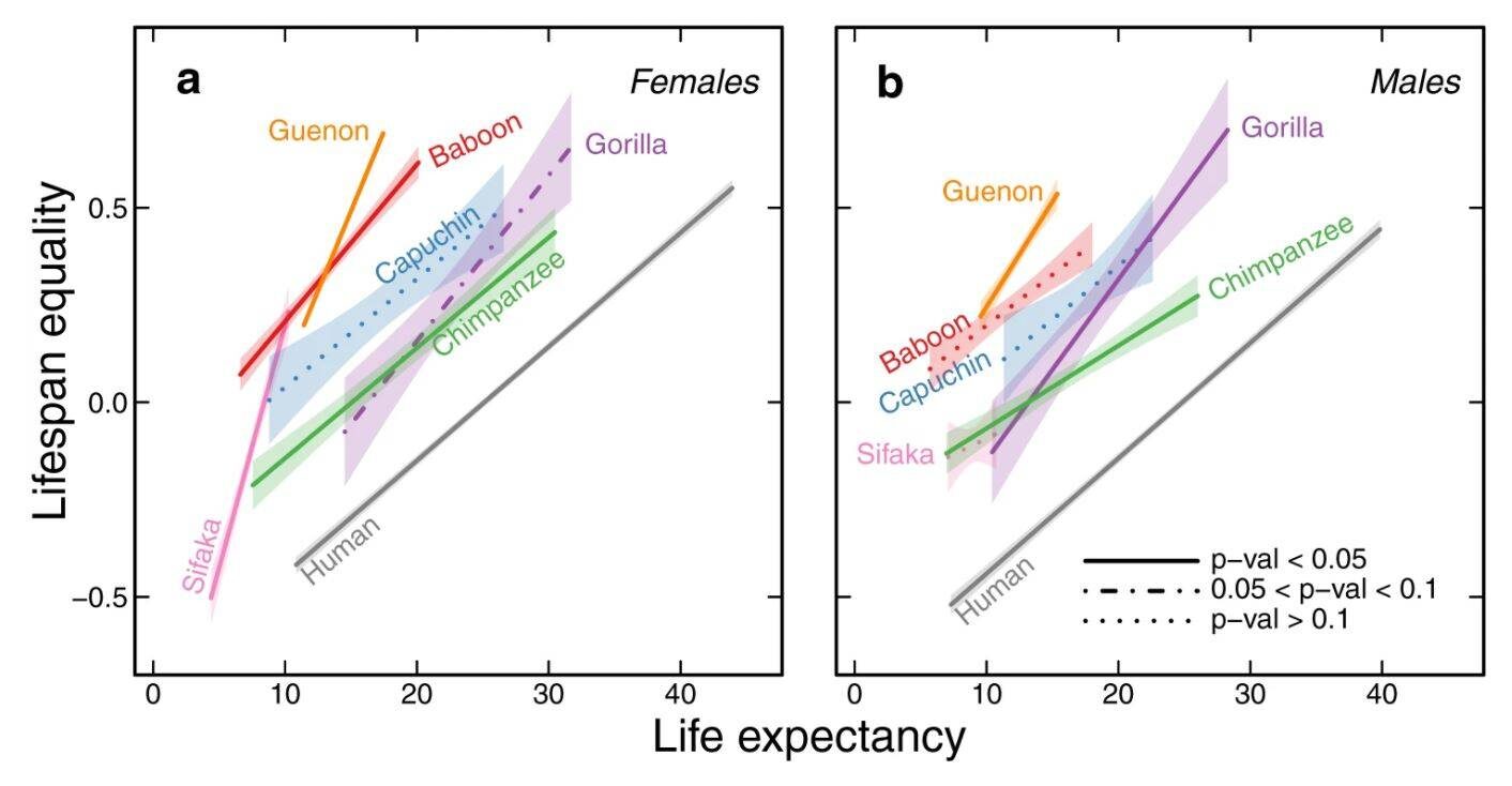 a Life expectancy and lifespan equality regression lines for females; each species is represented by a different colour. b Life expectancy and lifespan equality regression lines for males. Each genus is characterised by a relatively constrained relationship between life expectancy and lifespan equality, and thus a distinct regression line; colours as in a. The central lines are the predicted fitted values of the regression and the type of line (e.g. continuous, dashed, or dotted) depicts three levels for the p values of the slopes (how significantly different from 0 they are, two-sided t test, H0: β1 = 0, Supplementary Table 1), while the shaded polygons show the 95% confidence intervals of the regressions.