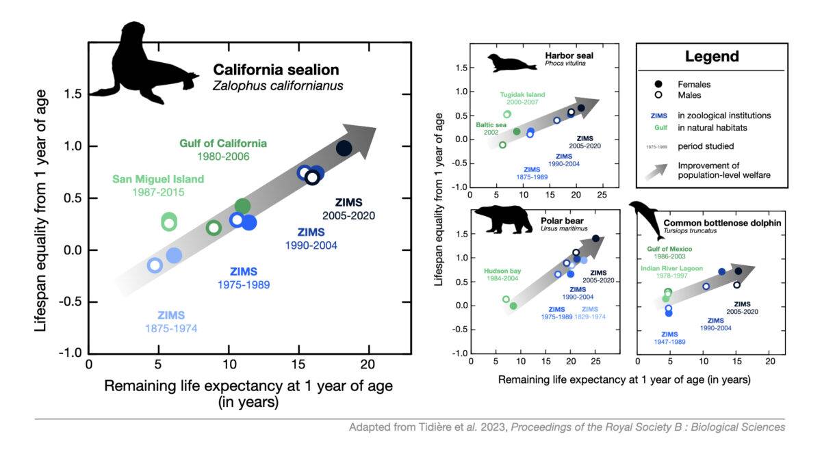 New study: Marine Mammal Longevity Study Reveals Remarkable Advances in